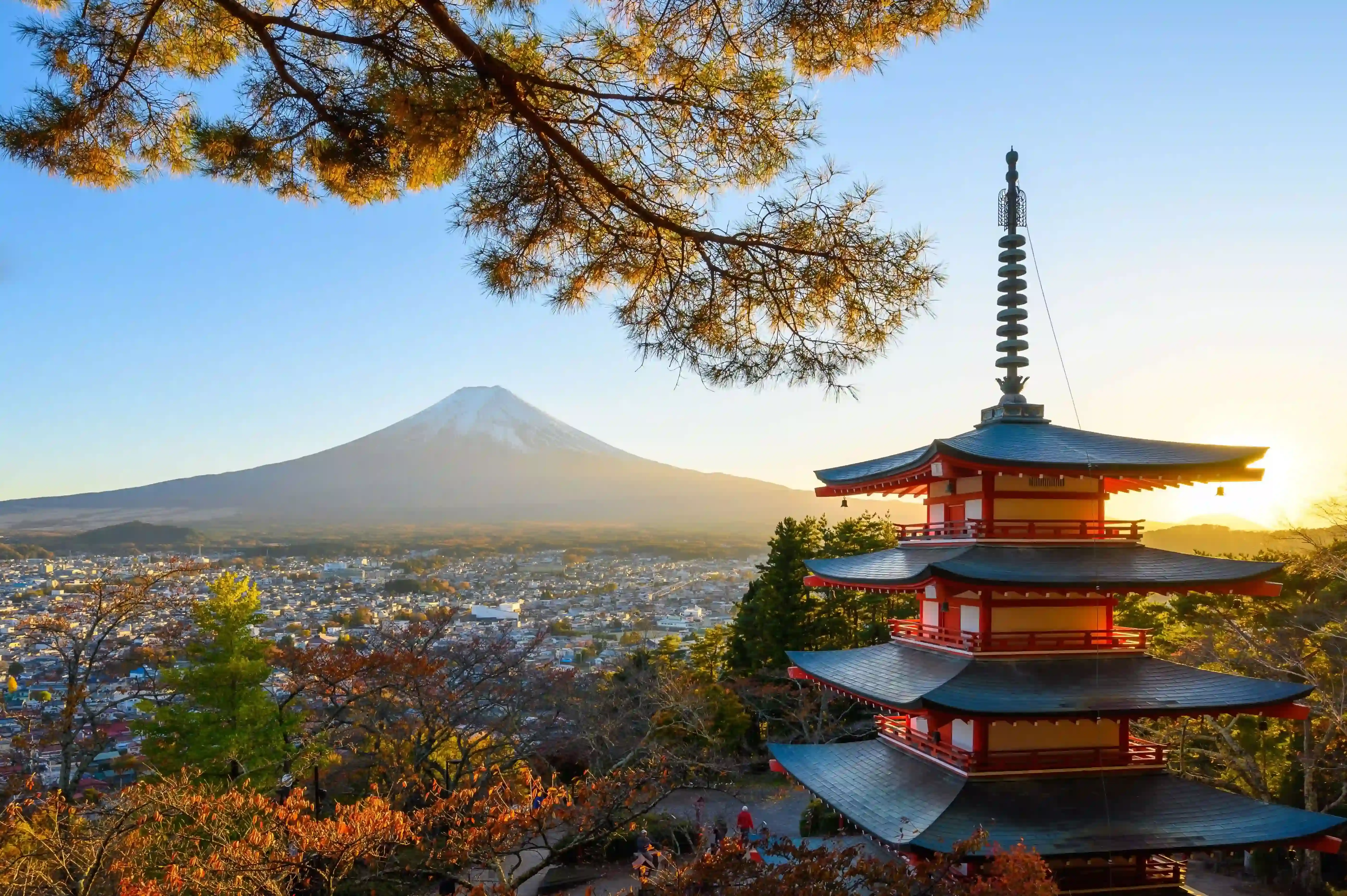 Tweet Japan DMC - Your Trusted Destination Management Company in Japan